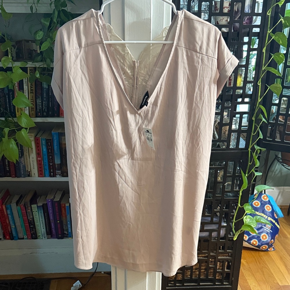 Express Blush V-Neck Blouse